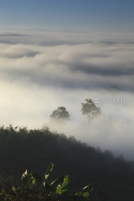 美丽的早晨日出的风景山在Pai, Mae Hong Son，泰国。